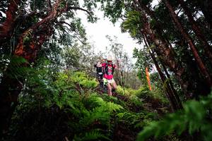 BIB: 
                            <button type="button" onclick="openModal(26203930)" class="btn btn-primary btn-sm float-right btn-popup" data-toggle="modal" data-target=".modal-high-quality">
                        <i class="fas fa-shopping-cart"></i> Add to Cart
                    </button>
                                            <button type="button" onclick="isThisMe(26203930, true)" class="btn btn-success btn-sm float-right btn-popup btn-isme hidden" data-toggle="tooltip" data-placement="bottom" title="นี่คือรูปของคุณใช่ไหม คลิกที่นี่เพื่อเอาเข้าอัลบั้ม">
                        <i class="fas fa-plus"></i> Add to album
                    </button>
                    <button type="button" onclick="isThisMe(26203930, false)" class="btn btn-warning btn-sm float-right btn-popup btn-isnotme hidden">
                        <i class="fas fa-ban"></i> Remove from album
                    </button>